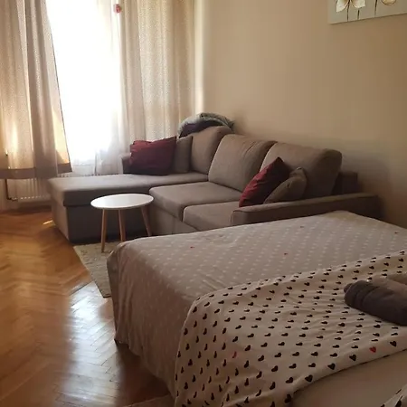 V&f * Vrnjačka Banja