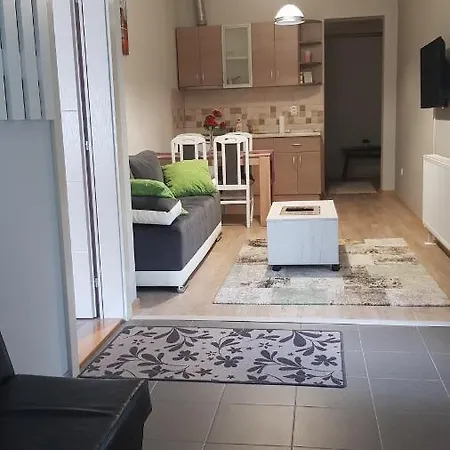 V&f Vrnjacka Banja