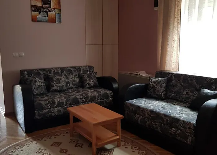 Apartment V&f Vrnjačka Banja