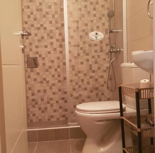 V&f * Vrnjačka Banja