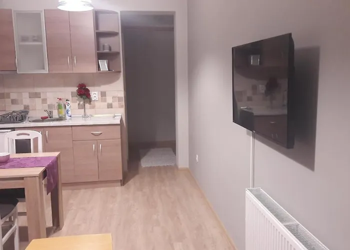 V&f Apartment Vrnjačka Banja